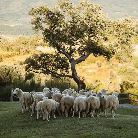 מלון By Nhome Cerquido