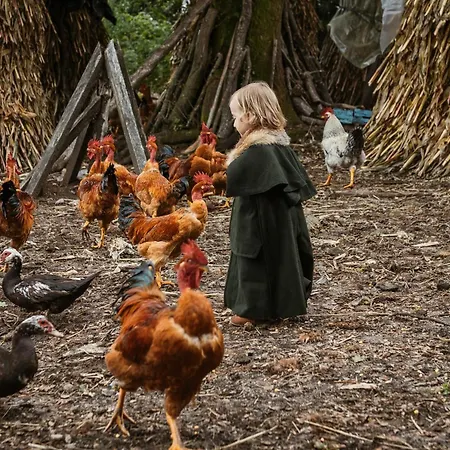 Szálloda By Nhome Cerquido