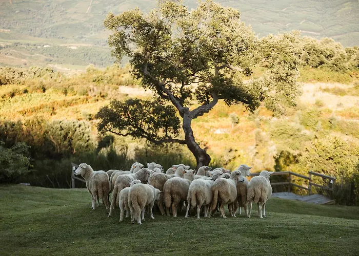 Hotel Cerquido By Nhome Cerquido