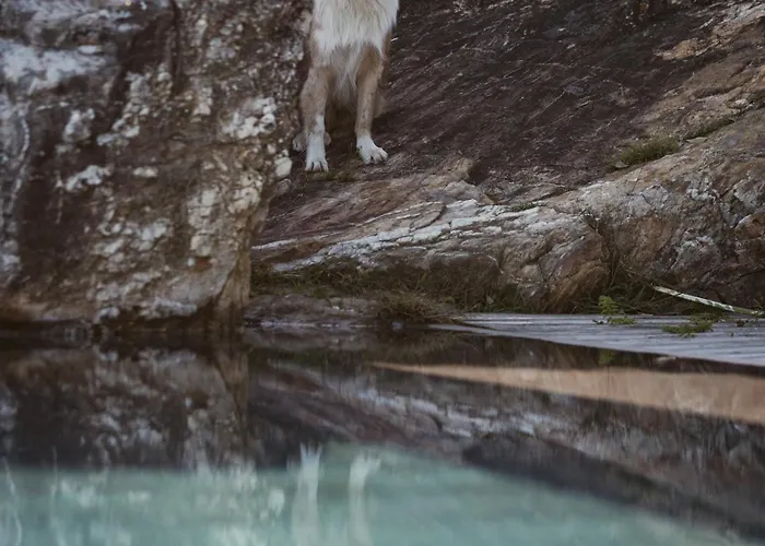 Cerquido By Nhome Hotel Cerquido