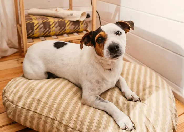 Cerquido By Nhome Hotel *