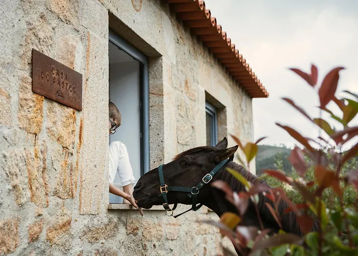 Cerquido By Nhome Hotel